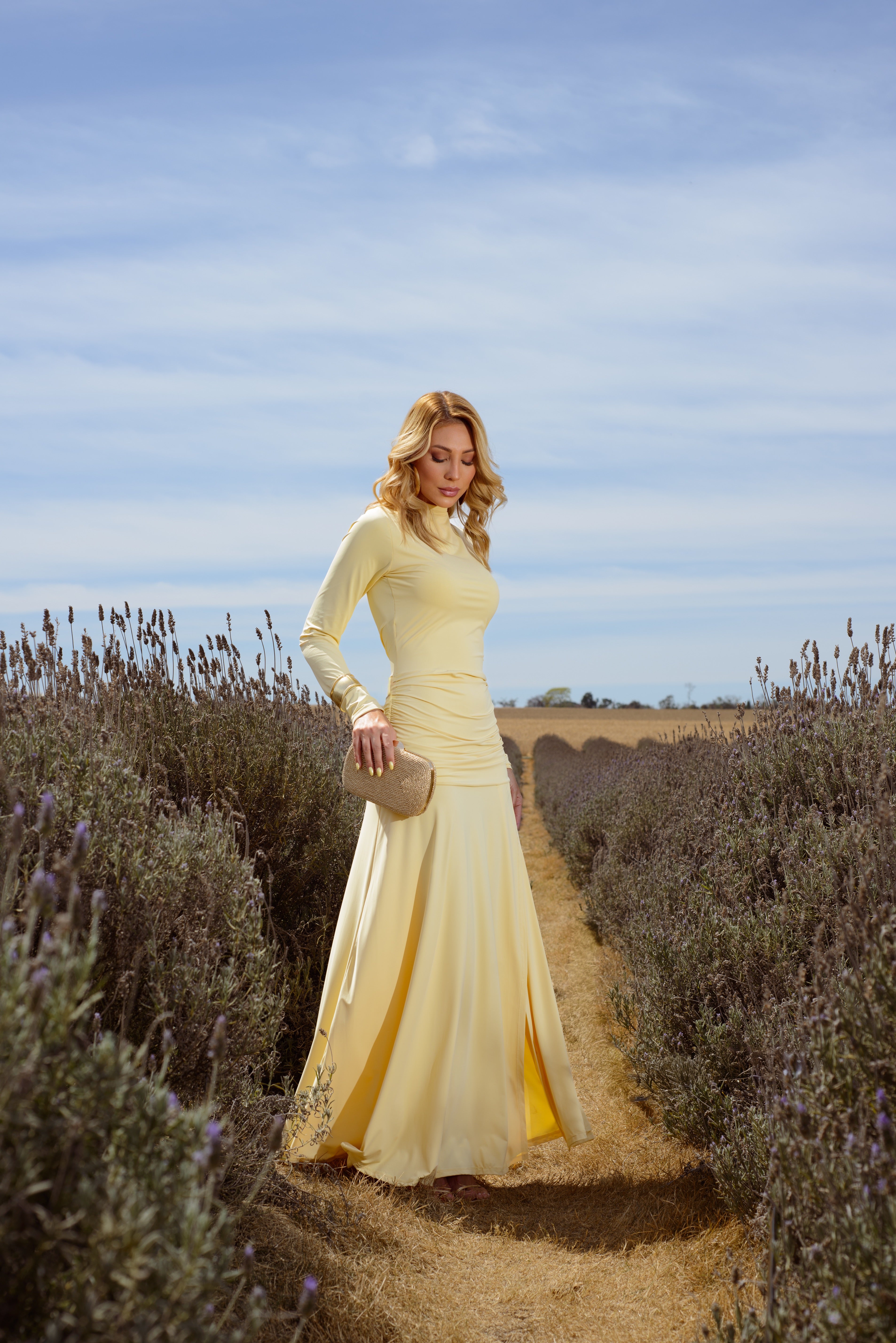 Vestido Alice